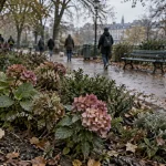 Raticides signalés à la place Henri-Will : la Ville de Strasbourg dément