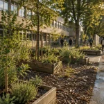 À Strasbourg, la Ville veut élargir la végétalisation des écoles